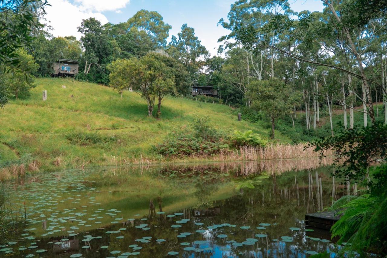 Whispering Valley Cottage Retreat 말레니 외부 사진