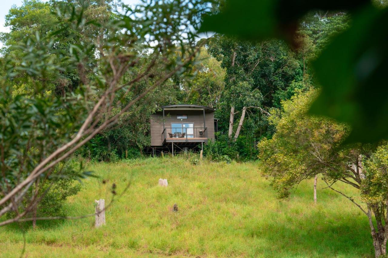 Whispering Valley Cottage Retreat 말레니 외부 사진