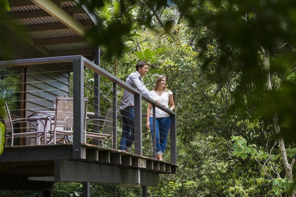 Whispering Valley Cottage Retreat 말레니 외부 사진