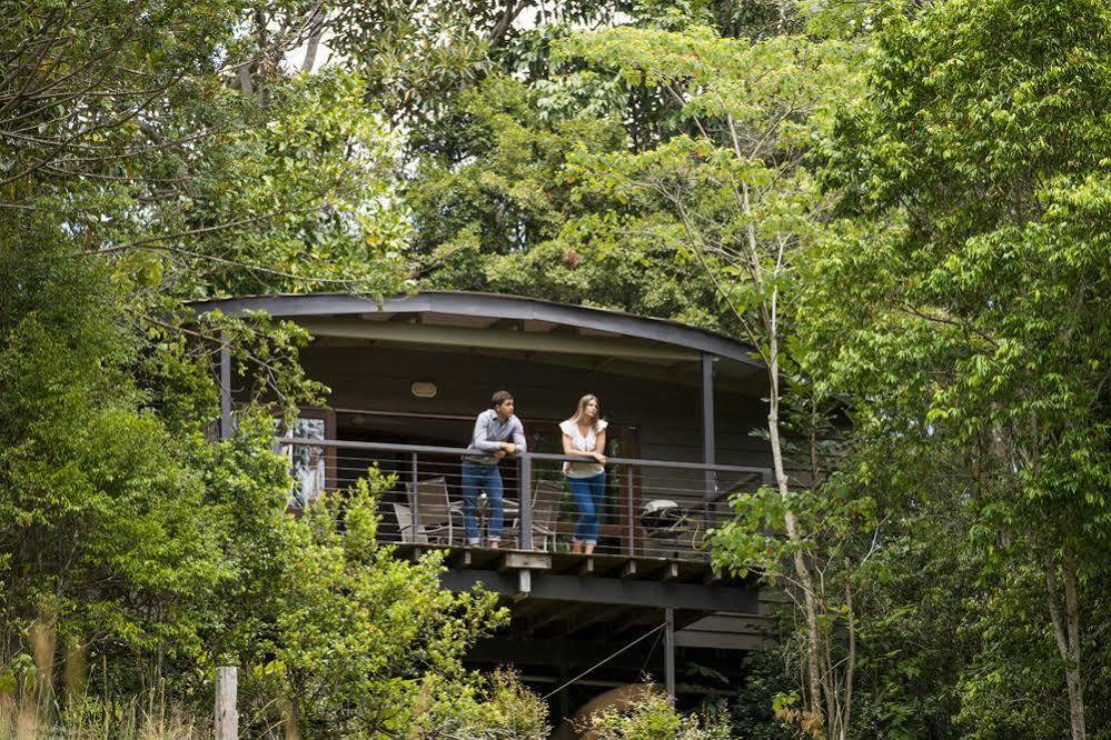 Whispering Valley Cottage Retreat 말레니 외부 사진